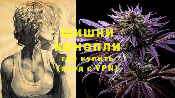 винт Пестово