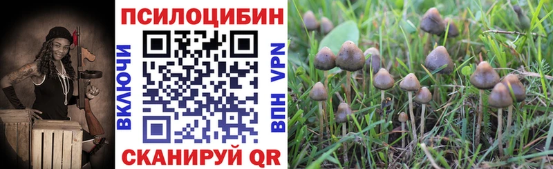 Галлюциногенные грибы Psilocybine cubensis  mega сайт  Асбест 